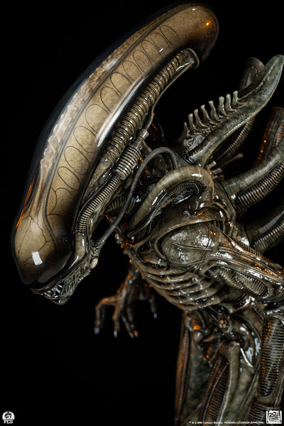Alien (1979) - Big Chap Xenomorph (Regular) 1/2 Scale Statue