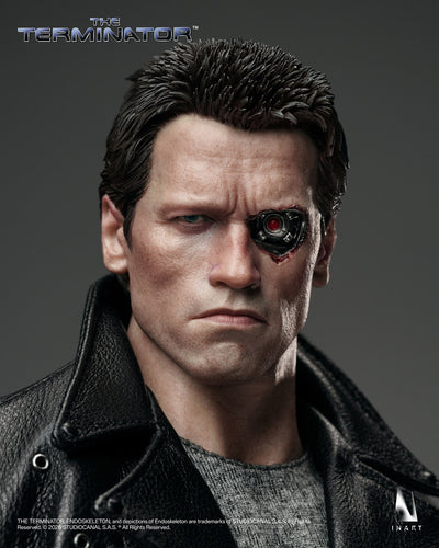 The Terminator - T-800 InArt 1/6 Scale Figure