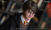 Harry Potter (Lite) Kojun Works 1/6 Scale Figure