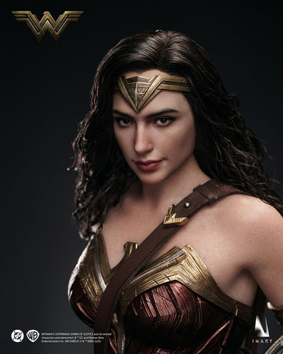 Batman v. Superman (2016) - Wonder Woman InArt 1/6 Scale Figure