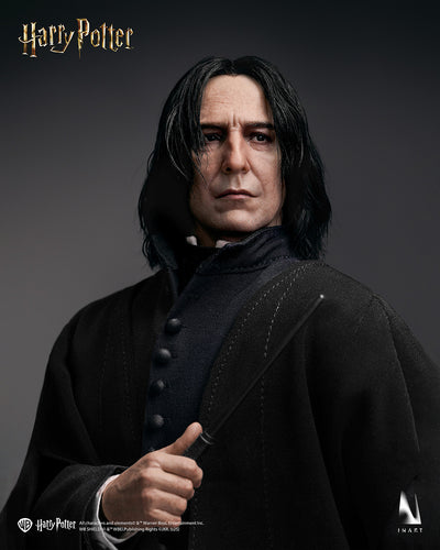 Harry Potter - Severus Snape InArt 1/6 Scale Figure