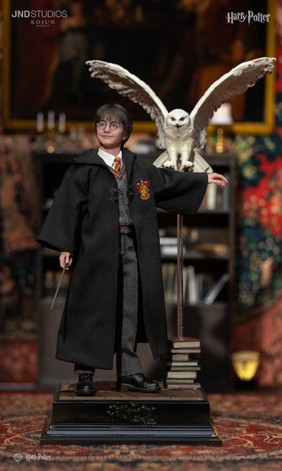 Harry Potter (Type C) Kojun Works 1/6 Scale Figure Set