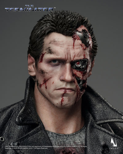 The Terminator - T-800 InArt 1/6 Scale Figure