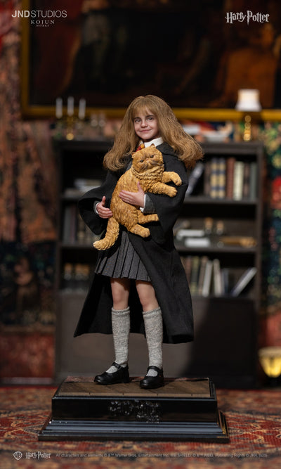 Harry Potter (Type C) Kojun Works 1/6 Scale Figure Set