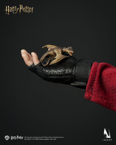 Harry Potter and the Goblet of Fire - Harry Potter Quidditch Uniform InArt 1/6 Scale Figure