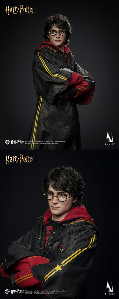 Harry Potter and the Goblet of Fire - Harry Potter Quidditch Uniform InArt 1/6 Scale Figure