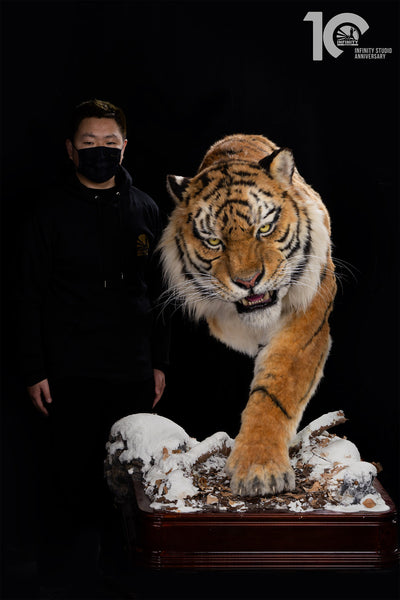 Siberian Tiger Museum-Level Life-Size Replica