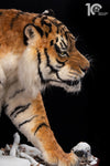 Siberian Tiger Museum-Level Life-Size Replica