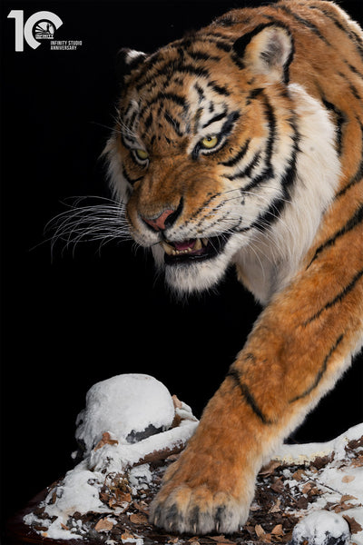 Siberian Tiger Museum-Level Life-Size Replica