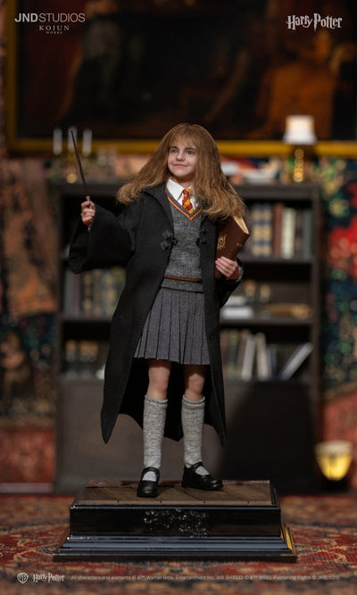 Harry Potter (Type C) Kojun Works 1/6 Scale Figure Set