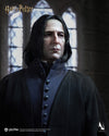 Harry Potter - Severus Snape InArt 1/6 Scale Figure