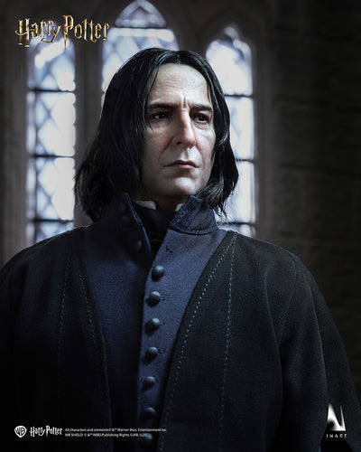 Harry Potter - Severus Snape InArt 1/6 Scale Figure