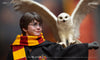 Harry Potter (Lite) Kojun Works 1/6 Scale Figure