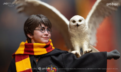Harry Potter (Lite) Kojun Works 1/6 Scale Figure