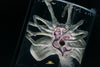 Facehugger Stasis Chamber Life-Size Replica by Deep Tale