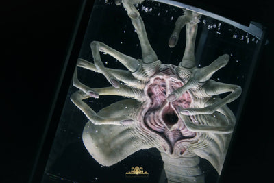 Facehugger Stasis Chamber Life-Size Replica by Deep Tale