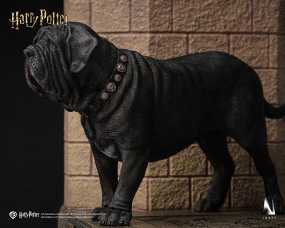 Harry Potter - Draco Malfoy (Deluxe) InArt 1/6 Scale Figure