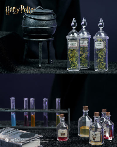 Harry Potter - Severus Snape InArt 1/6 Scale Figure