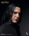 Harry Potter - Severus Snape InArt 1/6 Scale Figure