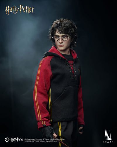 Harry Potter and the Goblet of Fire - Harry Potter Quidditch Uniform InArt 1/6 Scale Figure