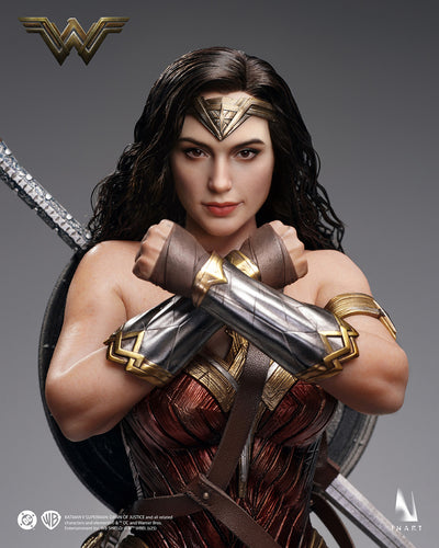 Batman v. Superman (2016) - Wonder Woman InArt 1/6 Scale Figure