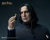 Harry Potter - Severus Snape InArt 1/6 Scale Figure