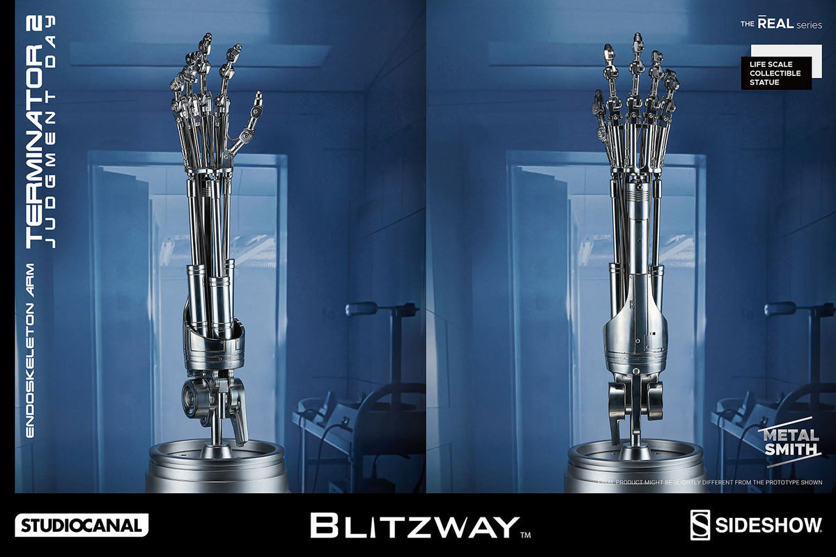 Terminator 2: Judgement Day - T-800 Endoskeleton Arm & Brain Chip Life ...