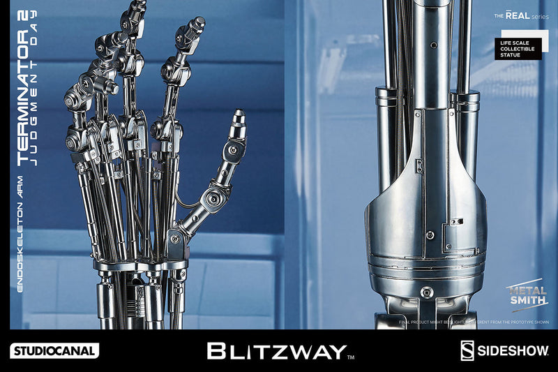 Terminator 2: Judgement Day - T-800 Endoskeleton Arm & Brain Chip Life ...