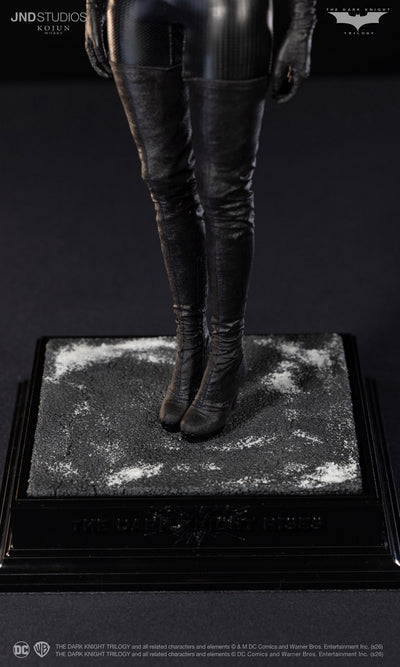 The Dark Knight Rises (2012) - Catwoman Selina Kyle (Type C+) Kojun Works 1/6 Scale Figure