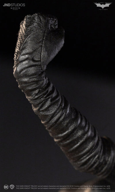 The Dark Knight Rises (2012) - Catwoman Selina Kyle (Type C+) Kojun Works 1/6 Scale Figure