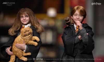 Harry Potter (Type C) Kojun Works 1/6 Scale Figure Set