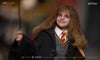 Harry Potter (Type C) Kojun Works 1/6 Scale Figure Set