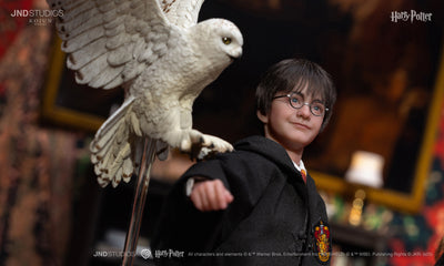 Harry Potter (Type C) Kojun Works 1/6 Scale Figure Set