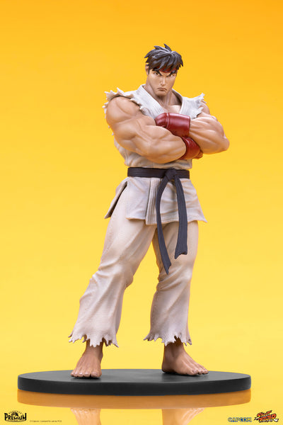 Ryu and Dan 1/10 Scale Statue Set