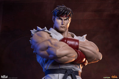 Ryu and Dan 1/10 Scale Statue Set