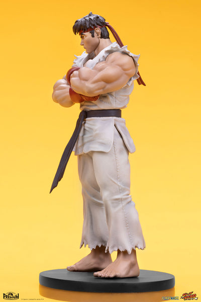 Ryu and Dan 1/10 Scale Statue Set