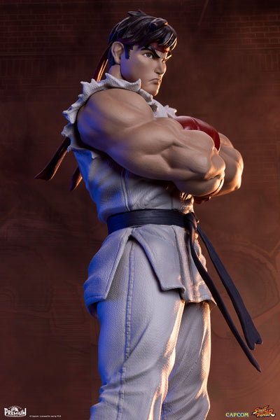 Ryu and Dan 1/10 Scale Statue Set