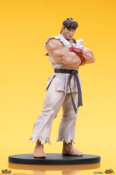 Ryu and Dan 1/10 Scale Statue Set