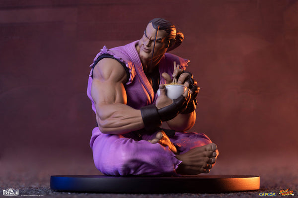 Ryu and Dan 1/10 Scale Statue Set - Spec Fiction Shop