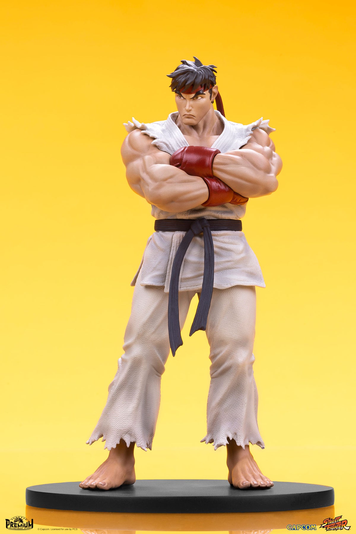 Ryu and Dan 1/10 Scale Statue Set - Spec Fiction Shop