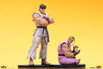 Ryu and Dan 1/10 Scale Statue Set