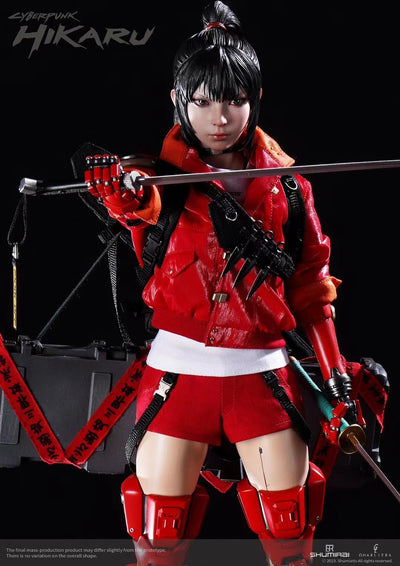 Hikaru The Bounty Hunter