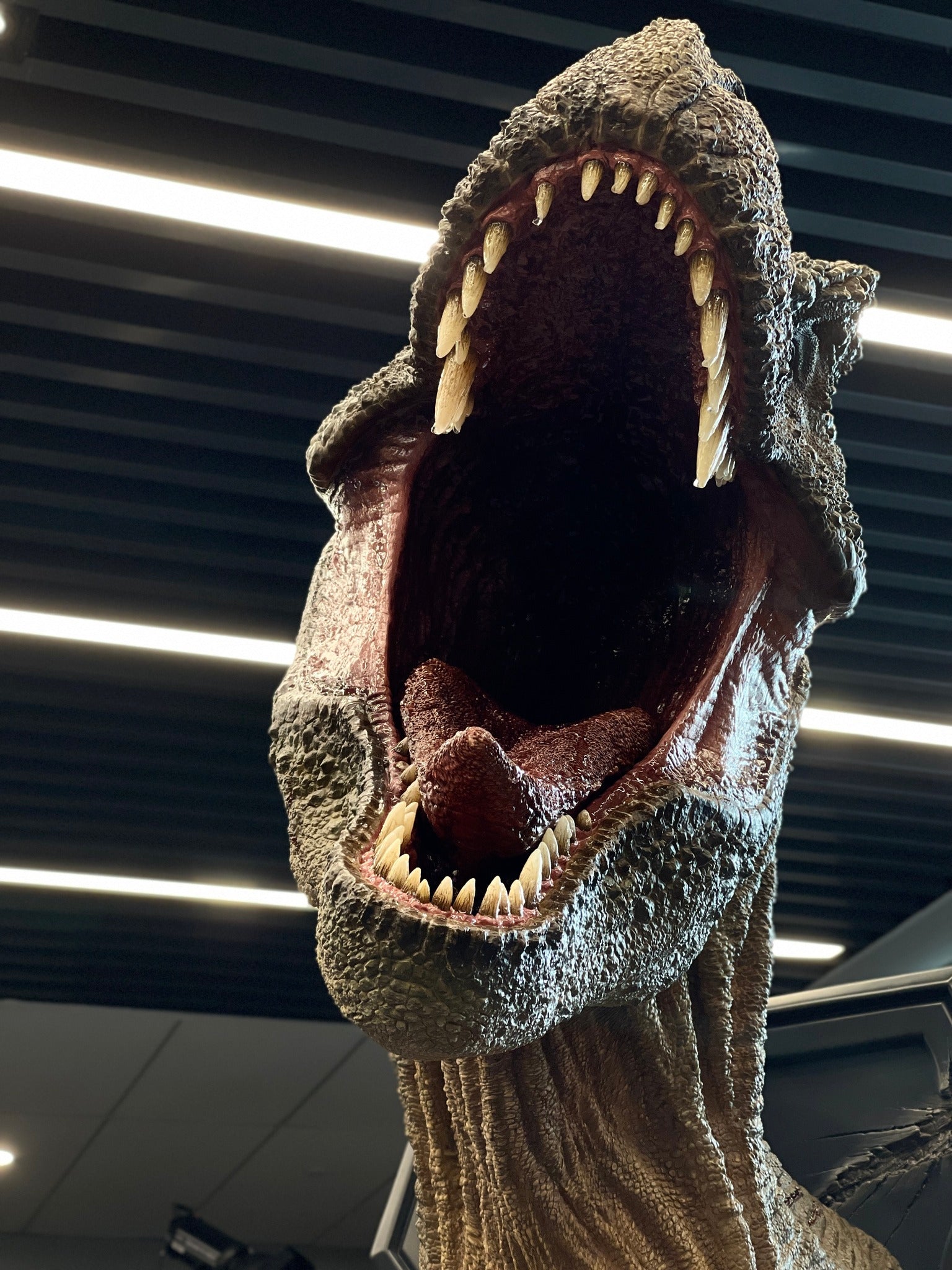 Jurassic World - Tyrannosaurus Rex 1/3 Scale Bust - Spec Fiction Shop