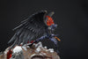 One Piece - The Raid on Onigashima (Colour Version) 1/6 Scale Statue