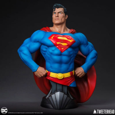 Superman 1/3 Scale Bust