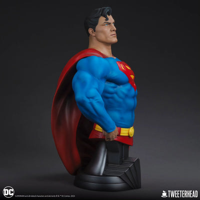 Superman 1/3 Scale Bust