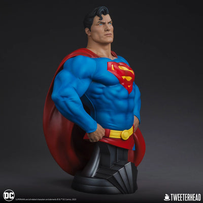 Superman 1/3 Scale Bust