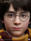 Harry Potter Life-Size Bust