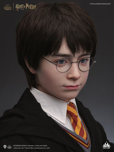 Harry Potter Life-Size Bust