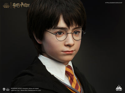 Harry Potter Life-Size Bust